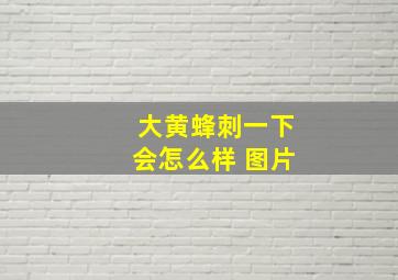 大黄蜂刺一下会怎么样 图片